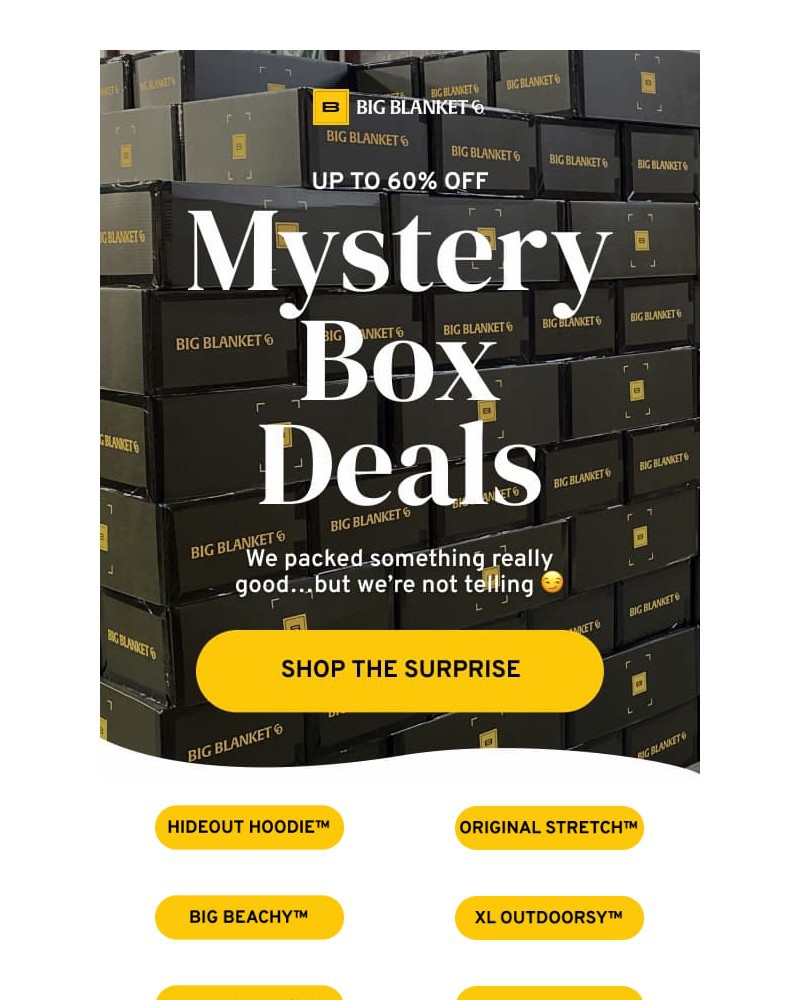 Screenshot of email sent to a Big Blanket Co. Newsletter subscriber