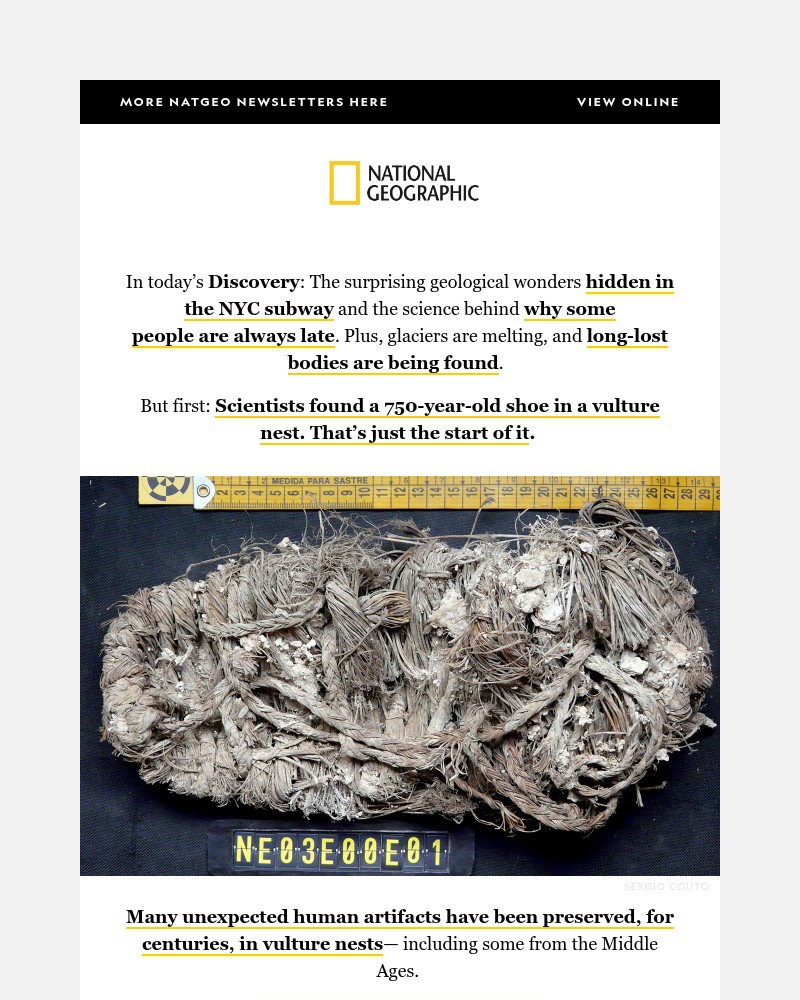 Screenshot of email sent to a National Geographic Newsletter subscriber