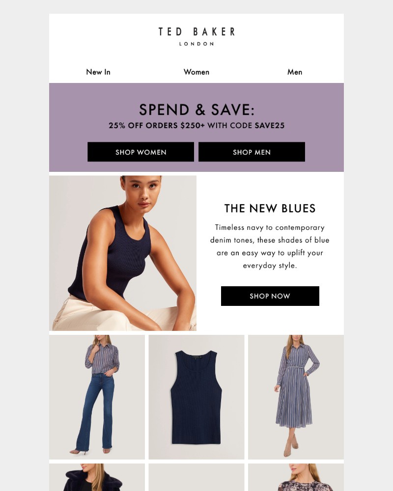 Screenshot of email sent to a Ted Baker Newsletter subscriber