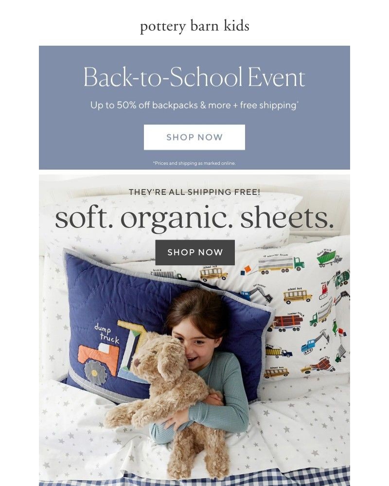 Screenshot of email sent to a Pottery Barn Newsletter subscriber