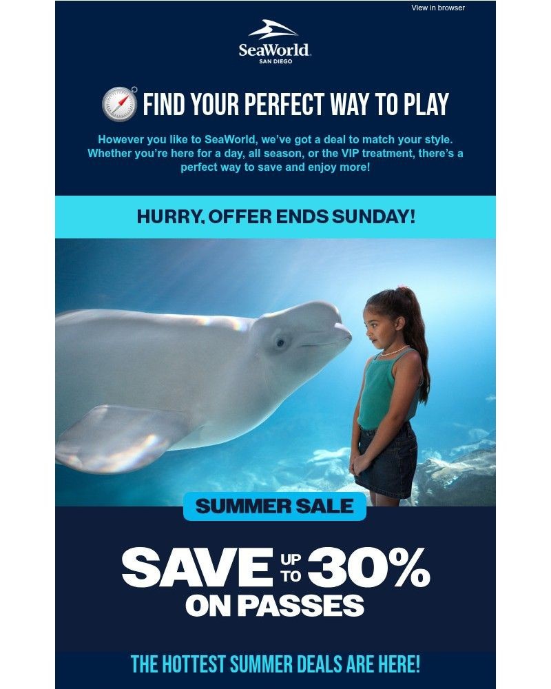 Screenshot of email sent to a Sea World Newsletter subscriber