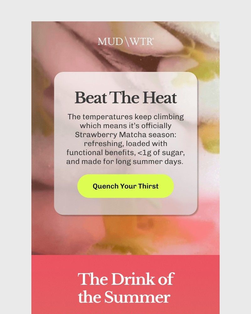 Screenshot of email sent to a MUD/WTR Newsletter subscriber