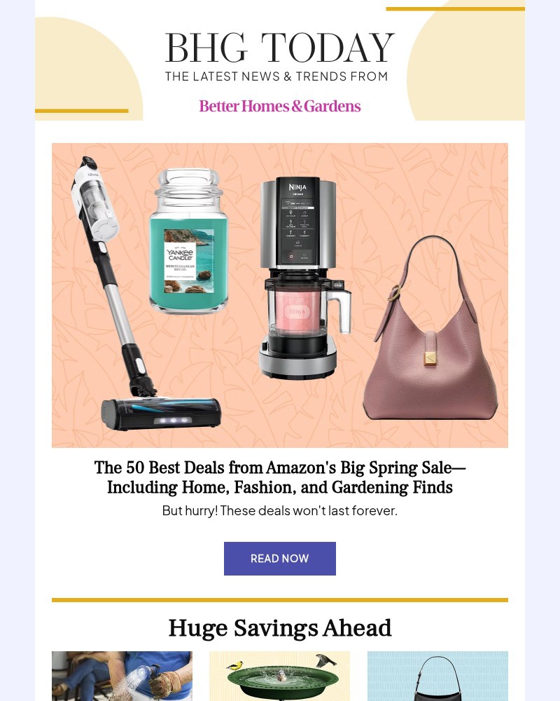 Screenshot of email sent to a Better Homes and Gardens Newsletter subscriber