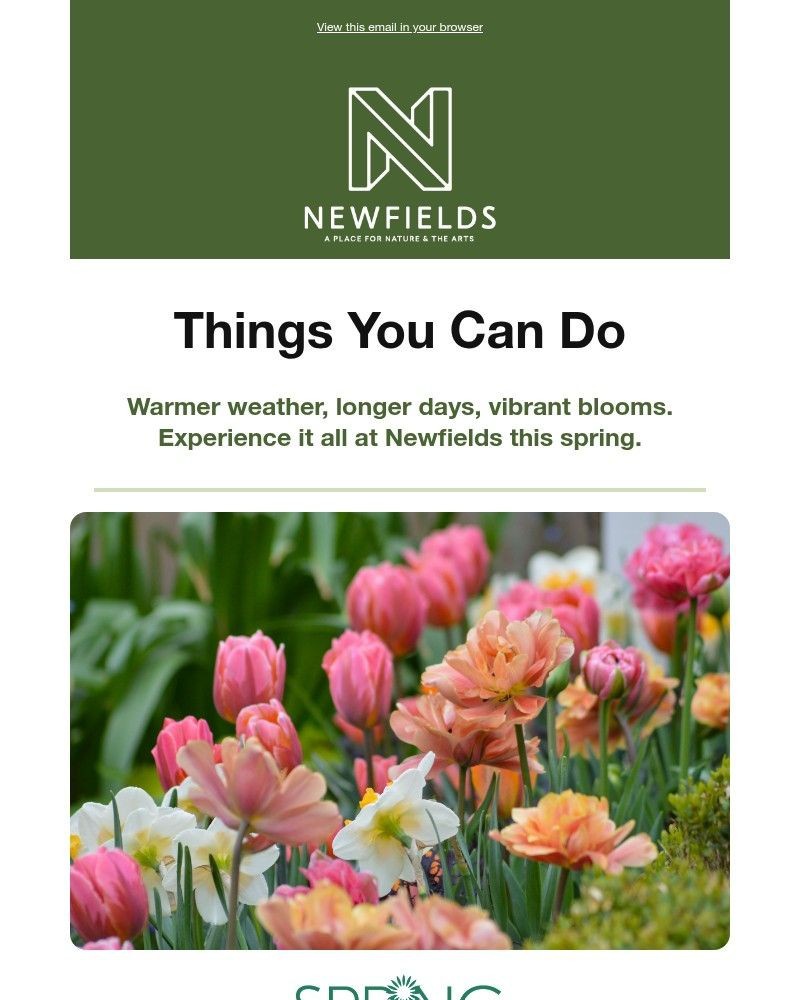 Screenshot of email sent to a Newfields Newsletter subscriber