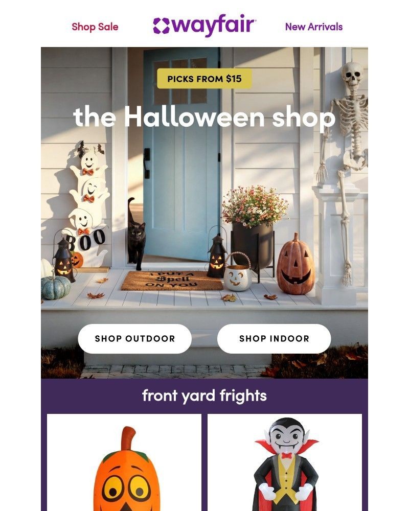 Screenshot of email sent to a Wayfair Newsletter subscriber