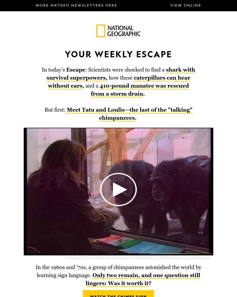 Screenshot of email sent to a National Geographic Newsletter subscriber