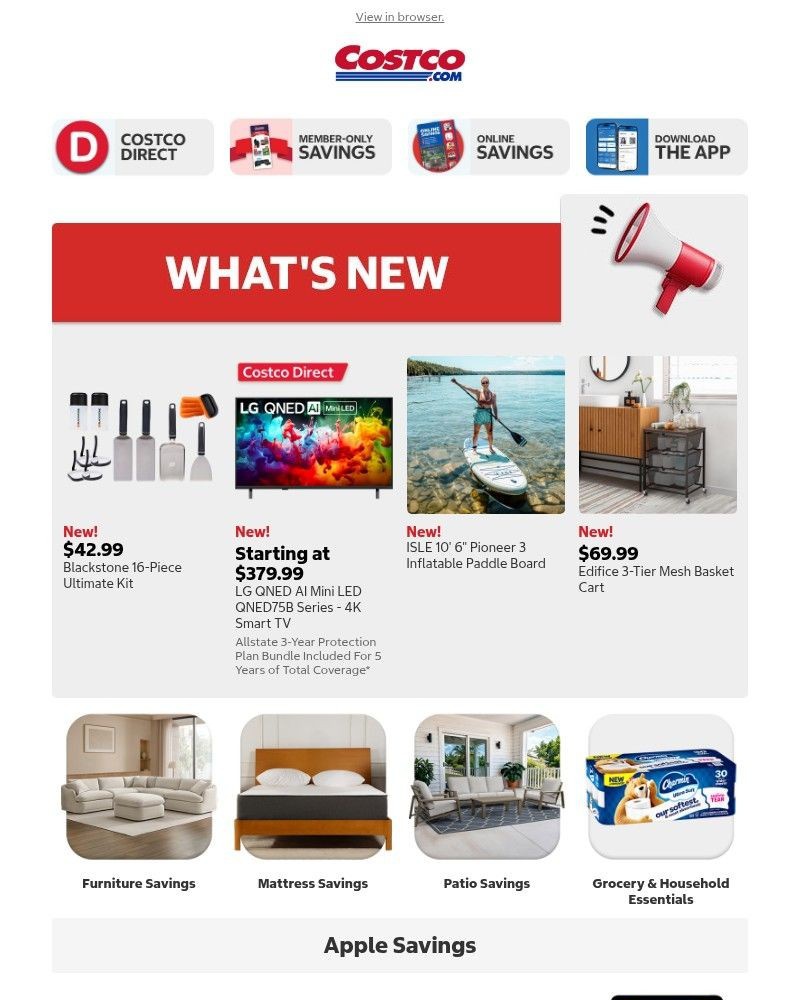 Screenshot of email sent to a Costco Newsletter subscriber