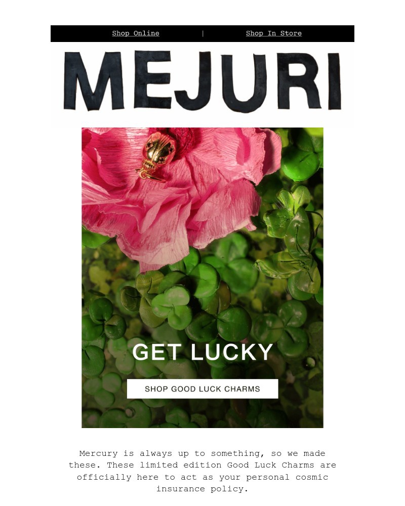 Screenshot of email sent to a Mejuri Registered user