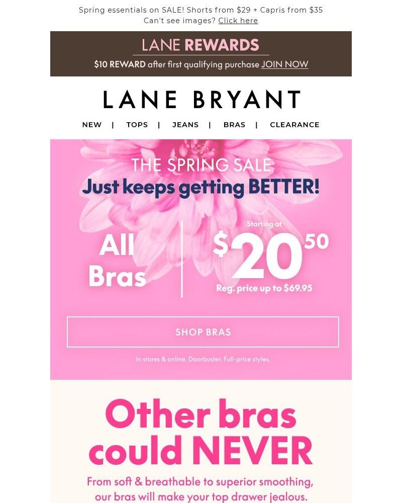 Screenshot of email sent to a Lane Bryant Newsletter subscriber