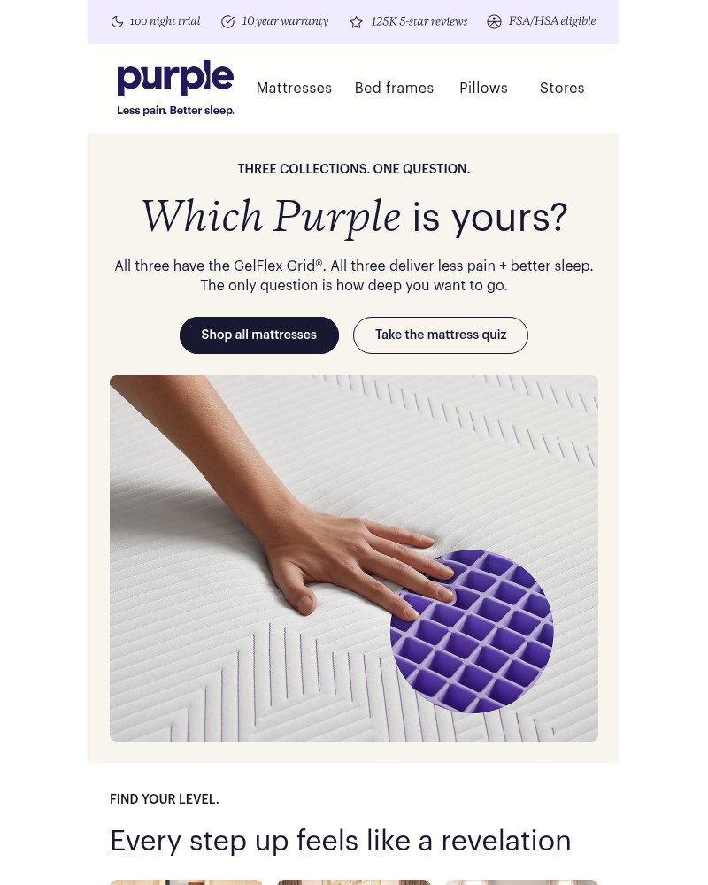 Screenshot of email sent to a Purple Cart abandoner