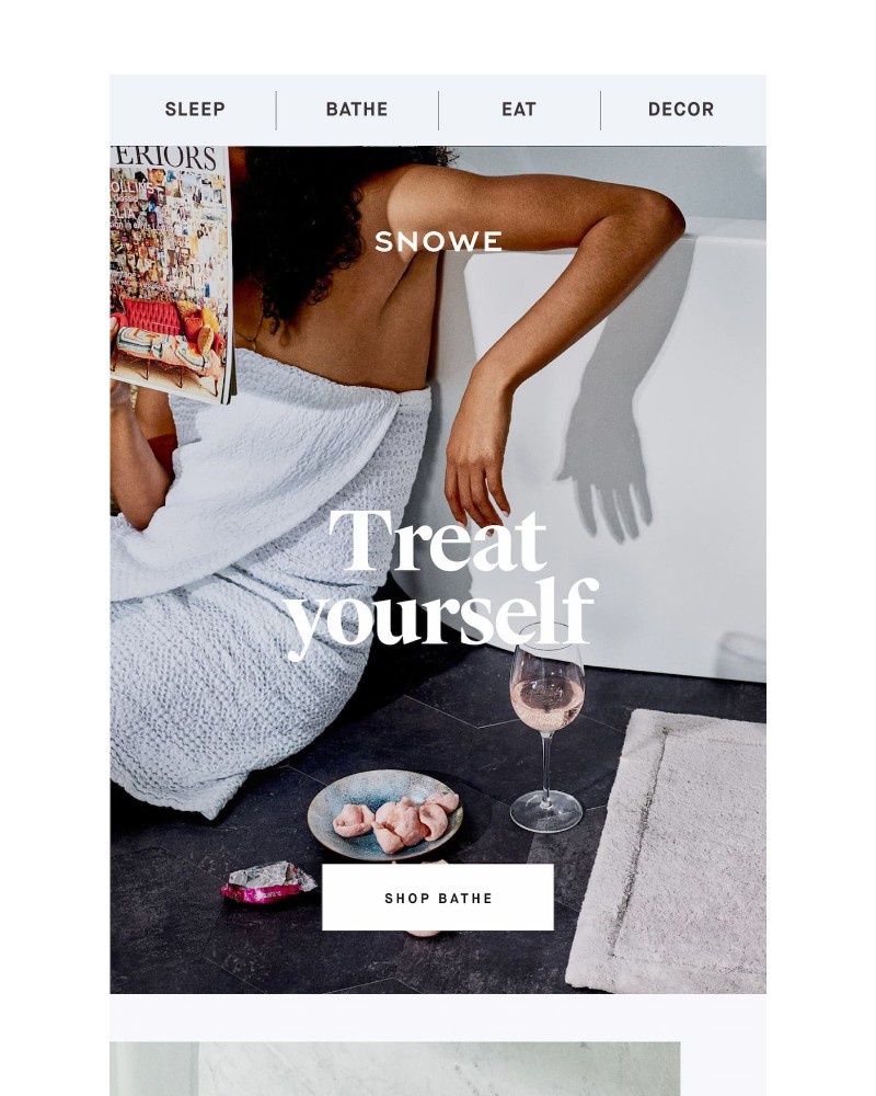 Screenshot of email sent to a Snowe Newsletter subscriber