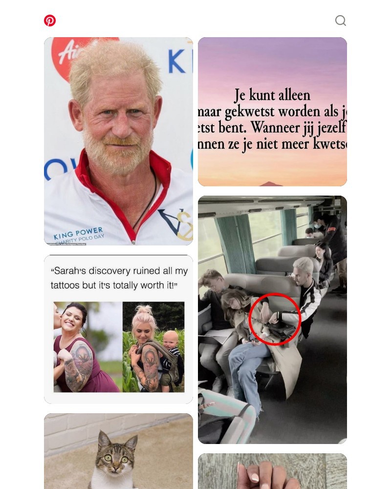 Screenshot of email sent to a Pinterest Registered user