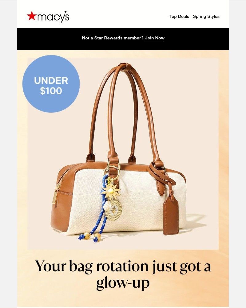 Screenshot of email sent to a Macy's Cart abandoner