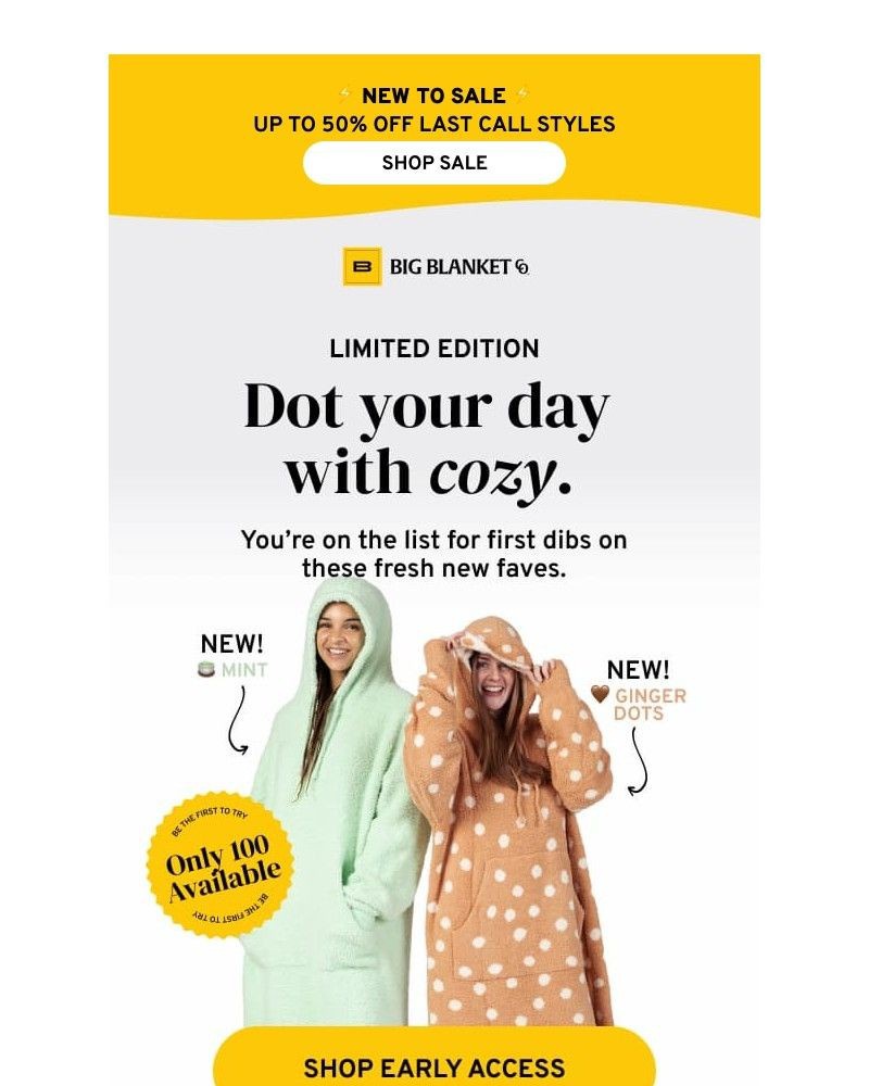 Screenshot of email sent to a Big Blanket Co. Newsletter subscriber