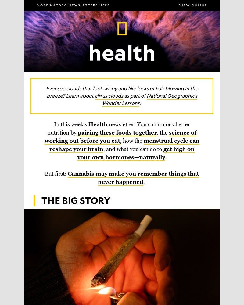 Screenshot of email sent to a National Geographic Newsletter subscriber