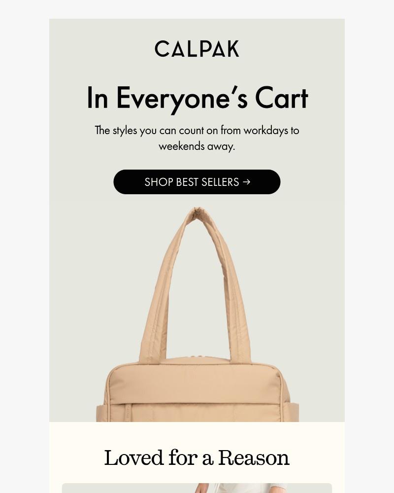 Screenshot of email sent to a Calpak Newsletter subscriber