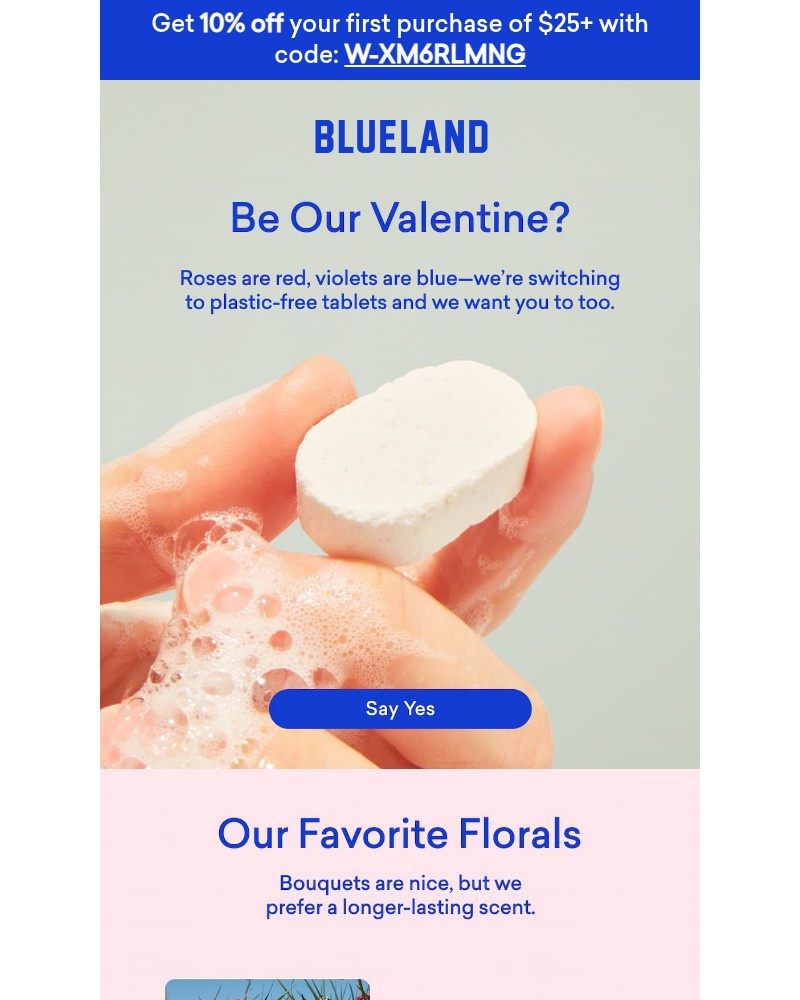 Screenshot of email sent to a Blueland Newsletter subscriber