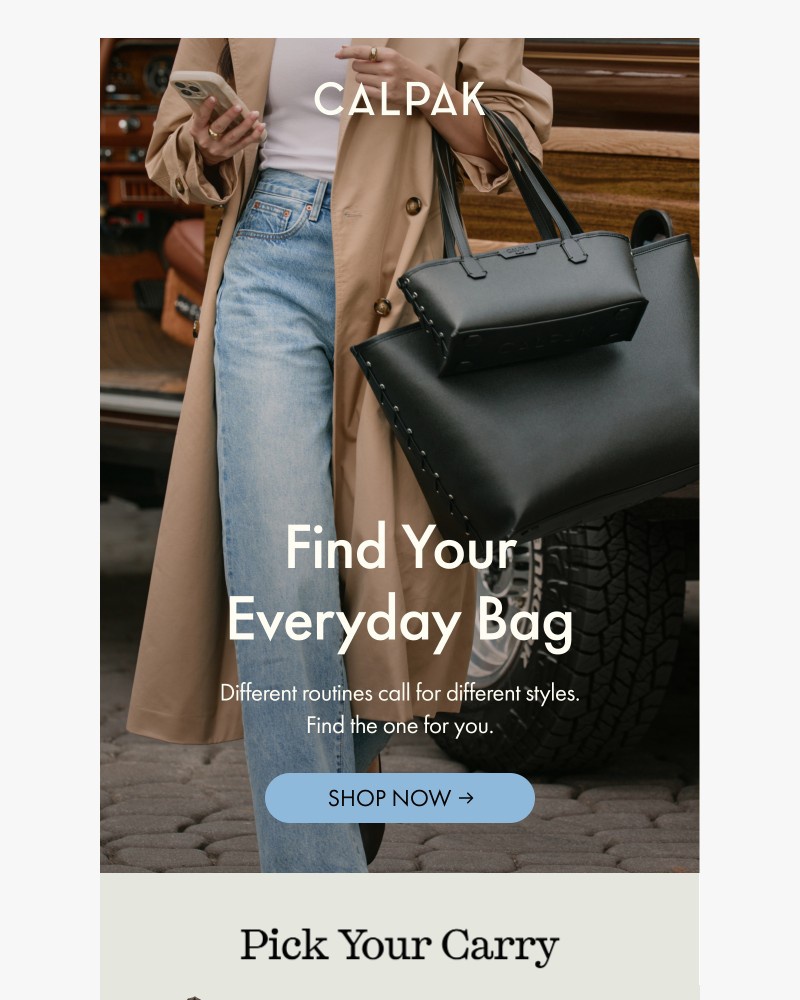 Screenshot of email sent to a Calpak Newsletter subscriber