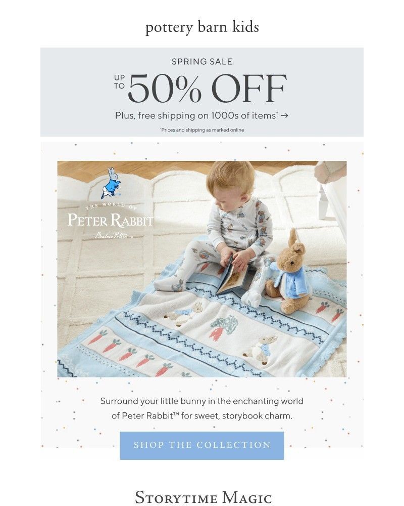 Screenshot of email sent to a Pottery Barn Newsletter subscriber