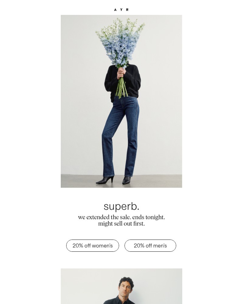 Screenshot of email sent to a AYR Newsletter subscriber