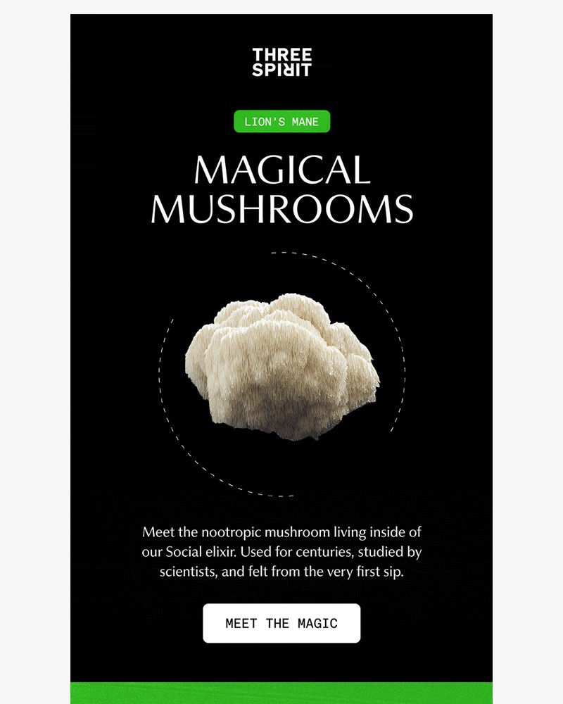 Screenshot of email sent to a Three Spirit Newsletter subscriber