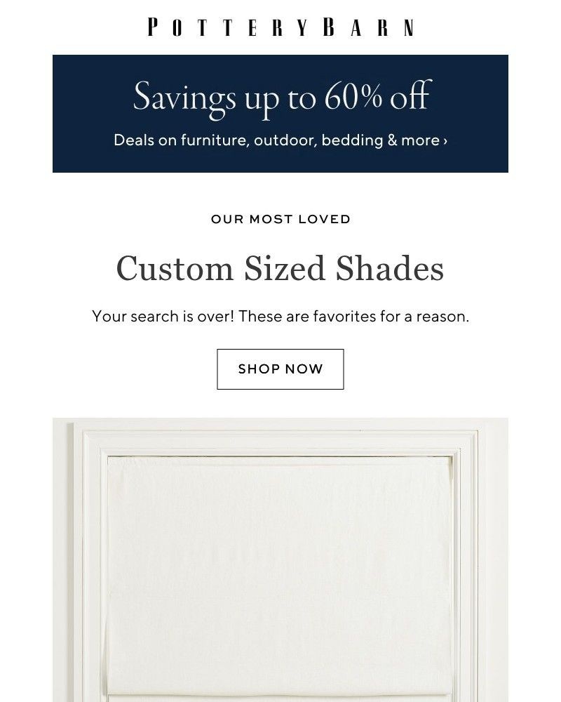 Screenshot of email sent to a Williams Sonoma Newsletter subscriber