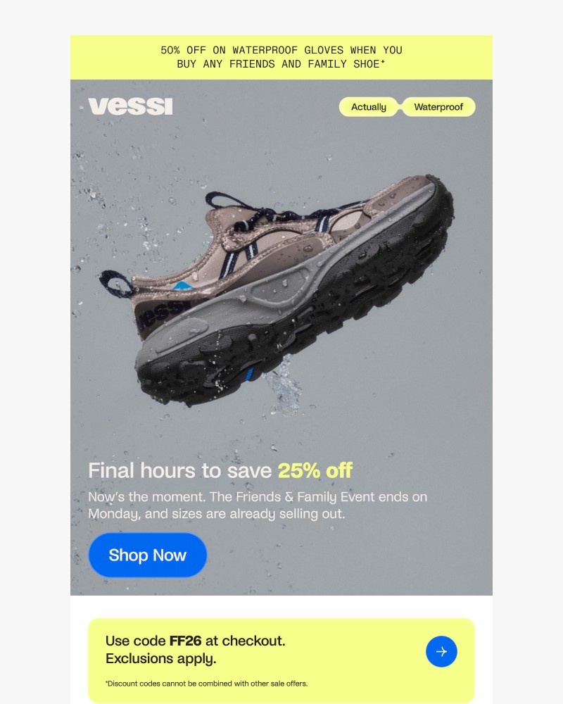 Screenshot of email sent to a Vessi Seller