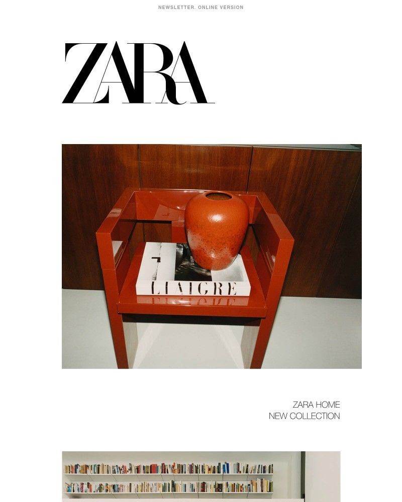 Screenshot of email sent to a Zara Registered user